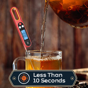 Digital Meat Thermometers
