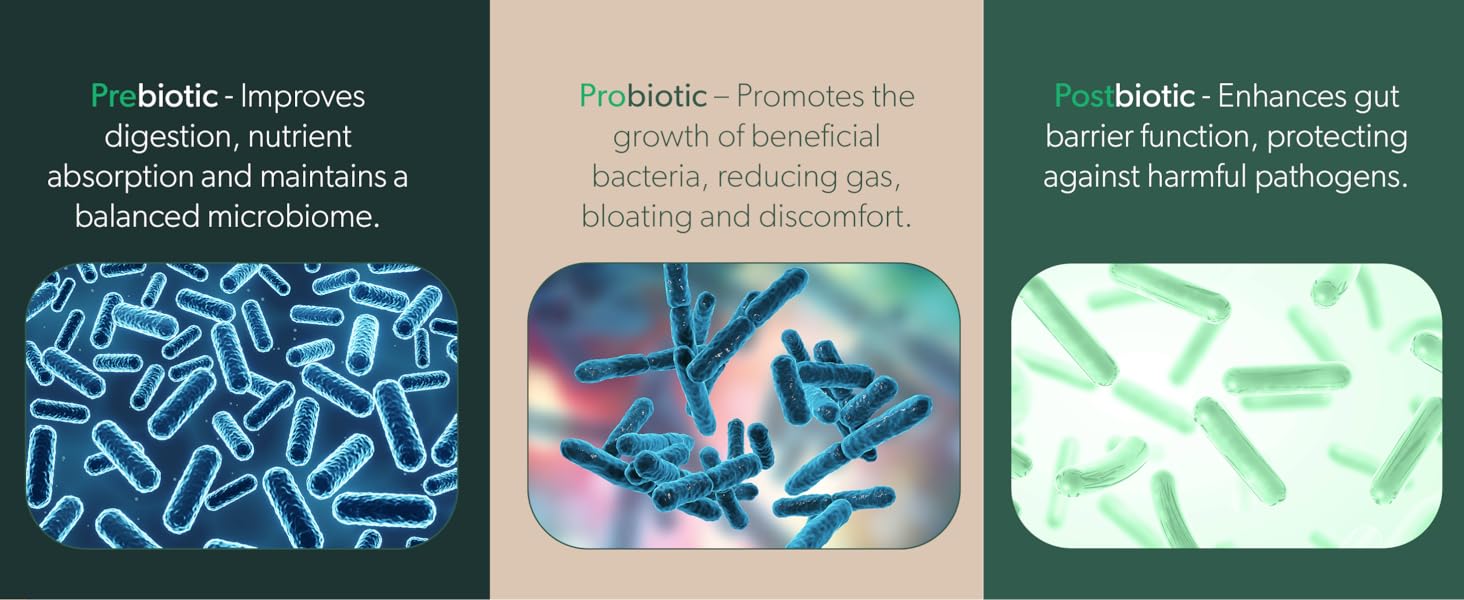 Synbiotics combining probiotics and prebiotics for digestive health.