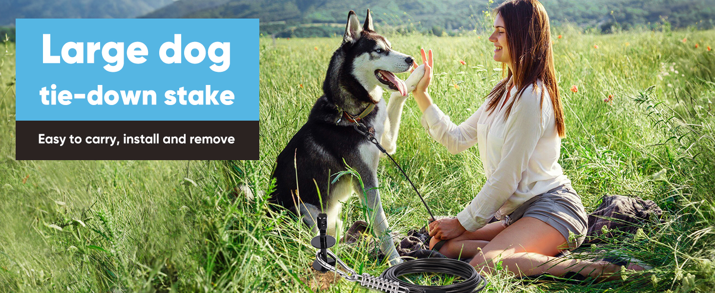 dog tie out cable and stake
