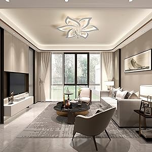 ceiling light for living room