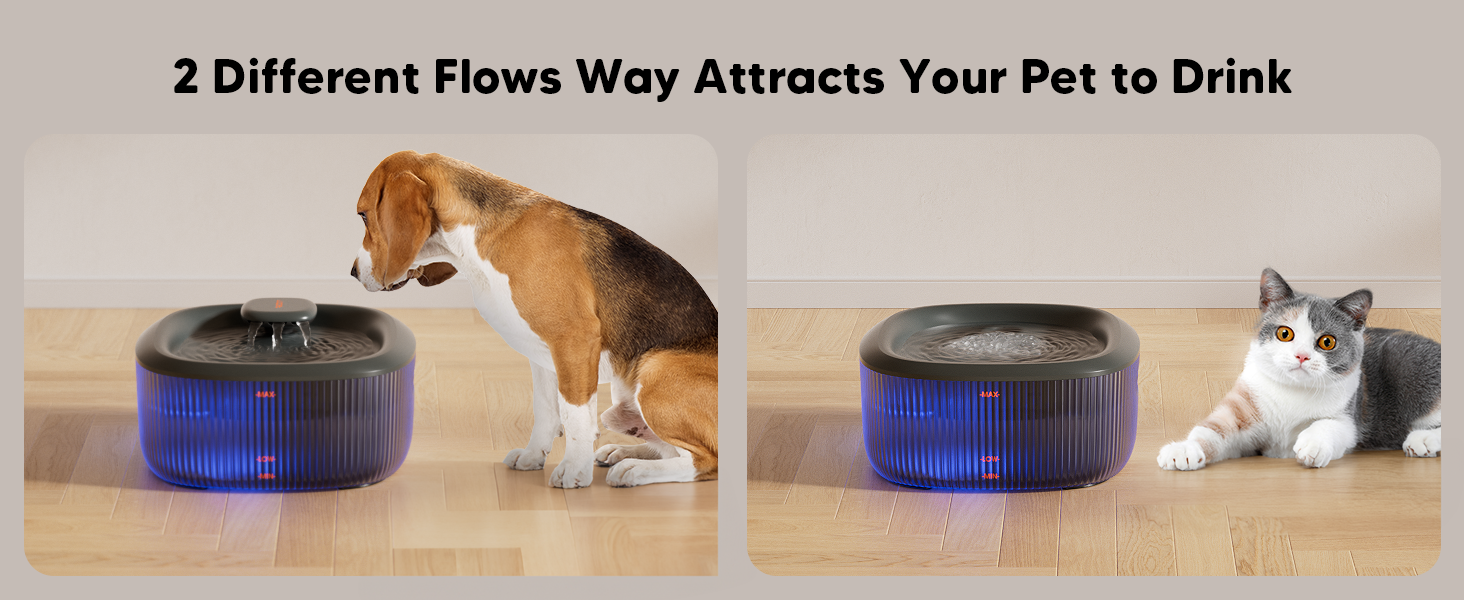Water Fountain for Large Dogs