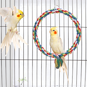 Bird Swing Toy