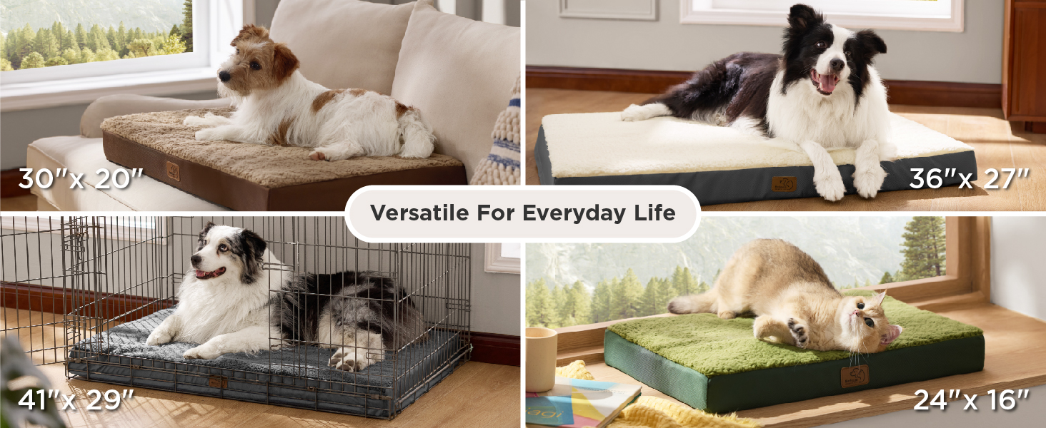 dog bed