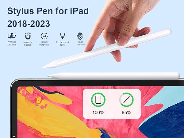 Amazon.com: Stylus Pen with Note-Taking,Drawing for iPad
