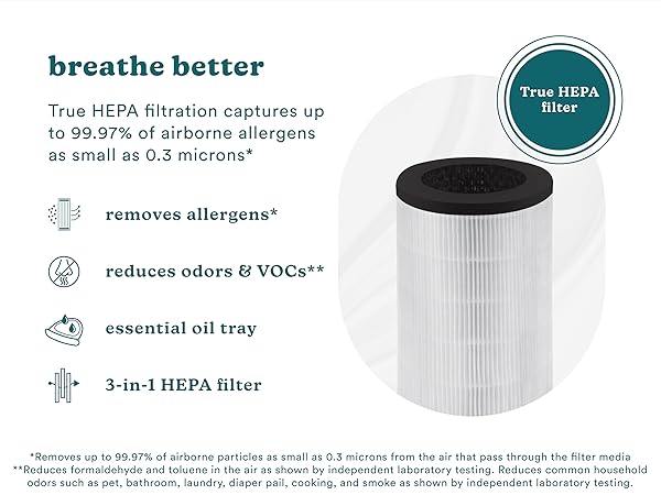 purifier filter features