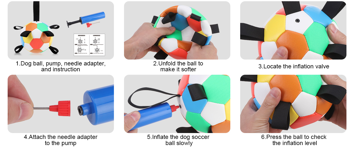 dog soccer ball