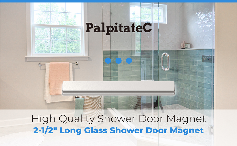 Shower Door 21/2" Long Glass Shower Door Replacement