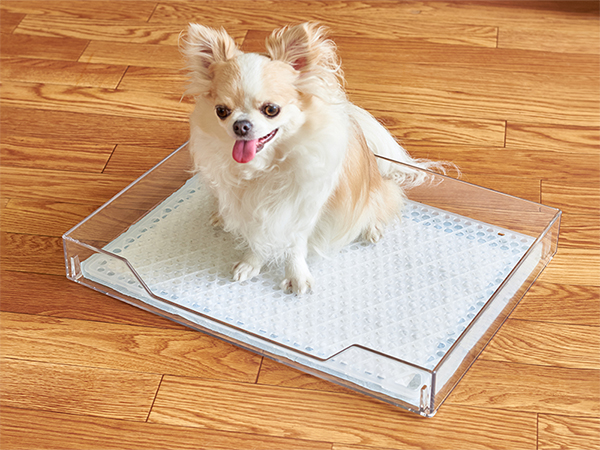 【OFT STORE正規品】クリアレット2S／ストッパー&メッシュ&ガードセット OFT (OFT) (専用クリーナープレゼント) [犬用トイレ (飛散ガード