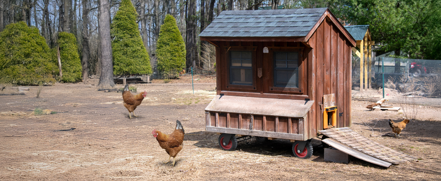 Chicken Coop