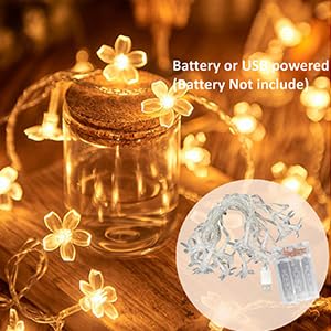 Battery or USB powered