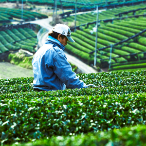 Small manufacture image 1