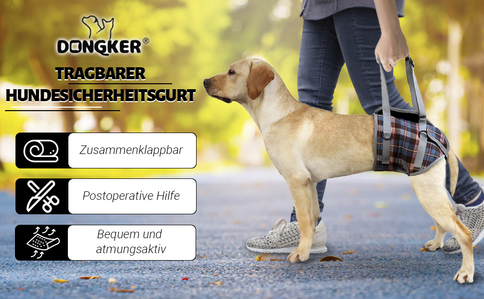 Alter Hund Kommt Treppe Nicht Mehr Hoch www.amazon.de