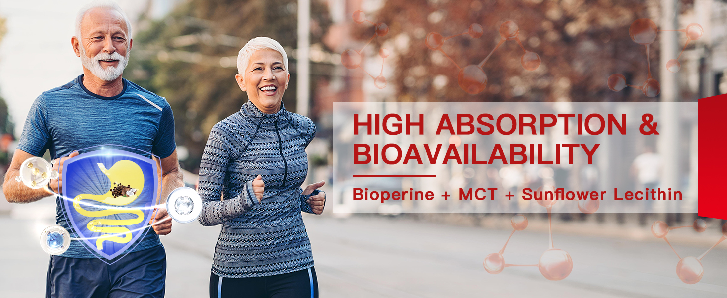high absorption coq10