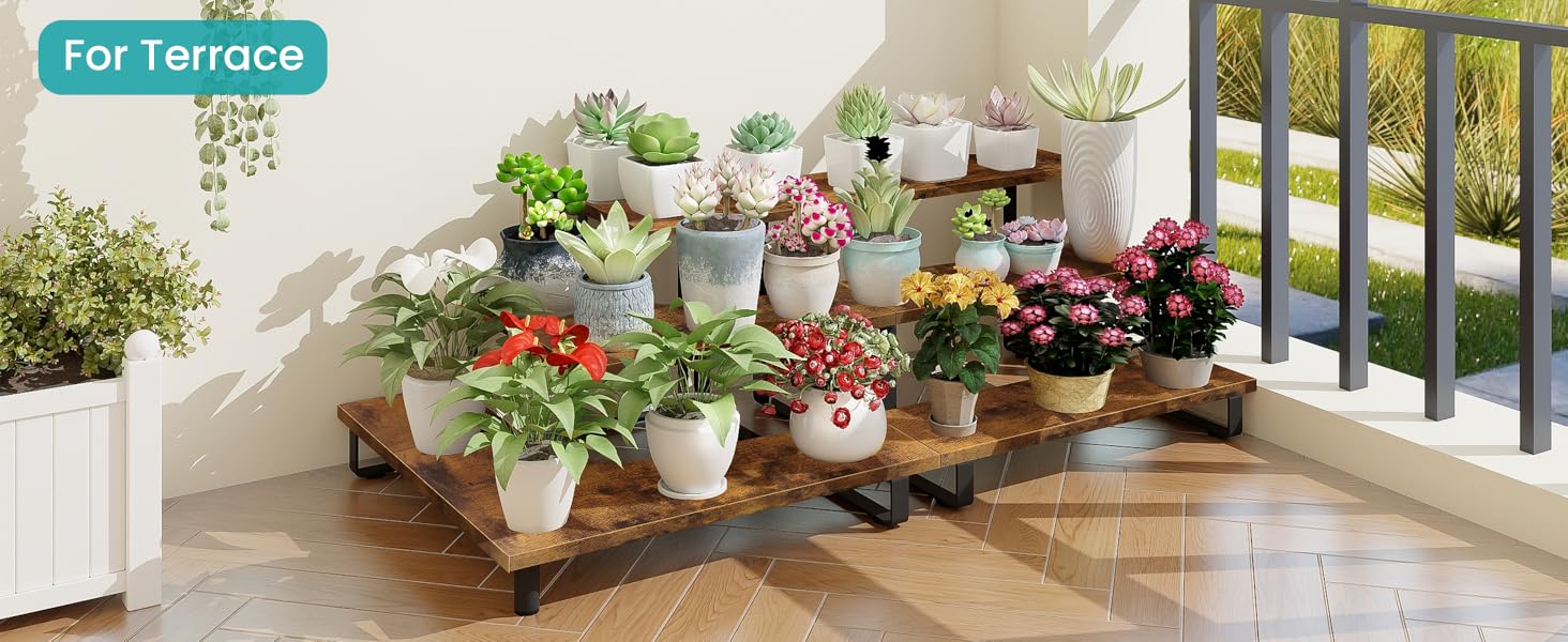 tiered display stand