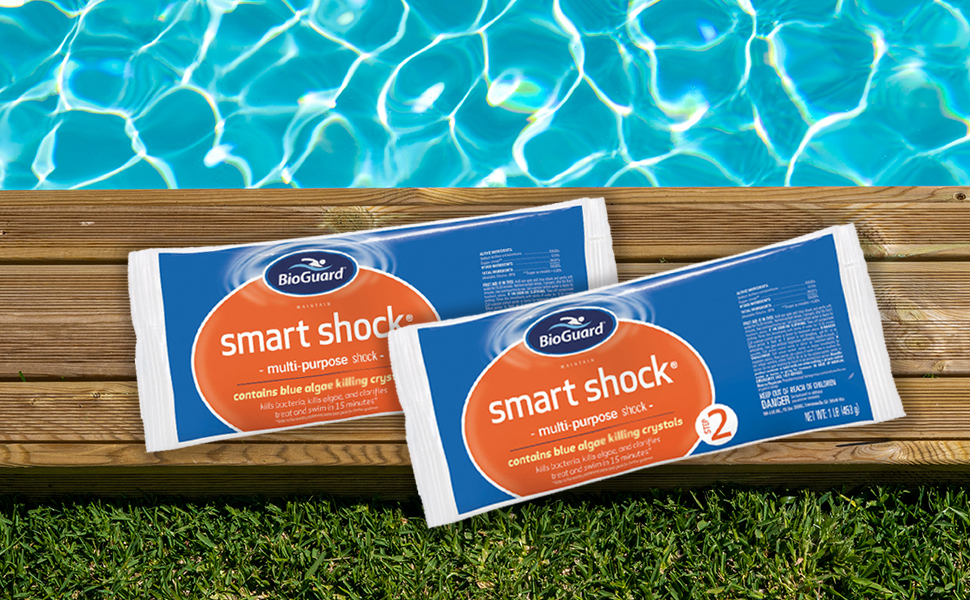 12 Pack BioGuard Smart Shock (1lb) with LeisureQuip