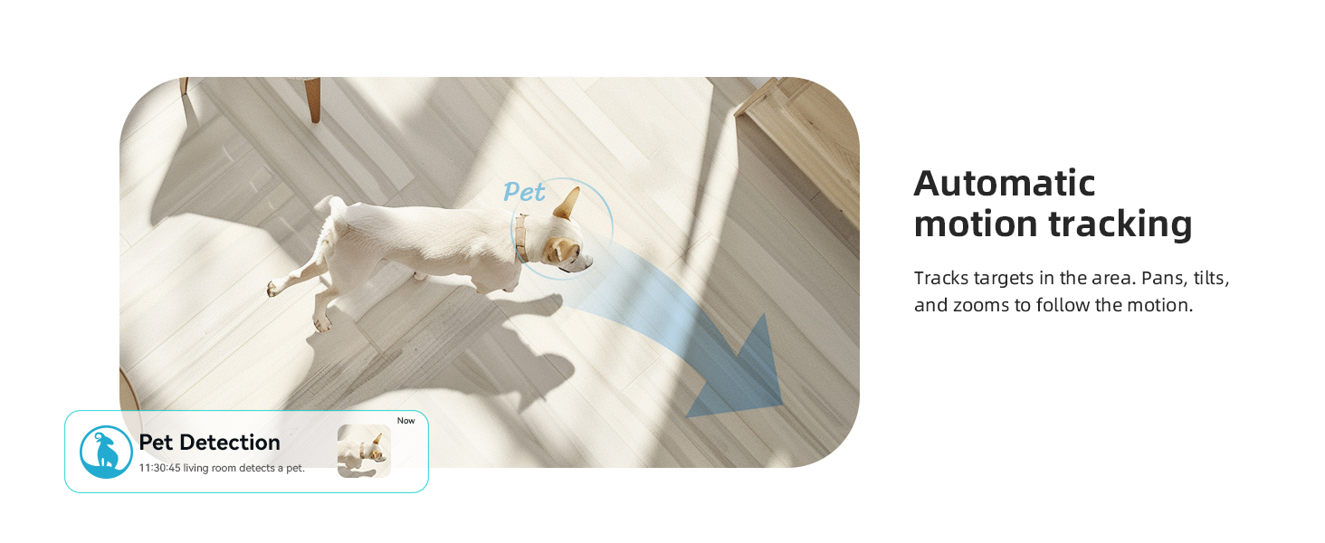 dog camera with motion tracking
