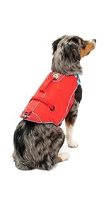 Kurgo Surf n' Turf Life Jacket for Dogs