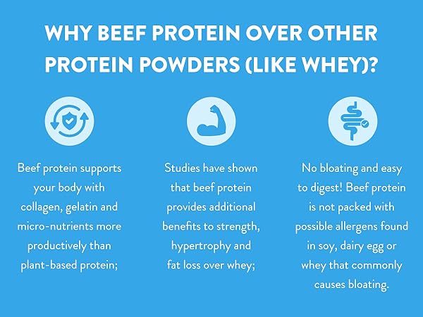 Vanilla Protein powder