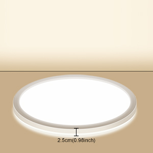 Sensor Ceiling lamp