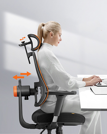 ergonomic office chair with lumbar support