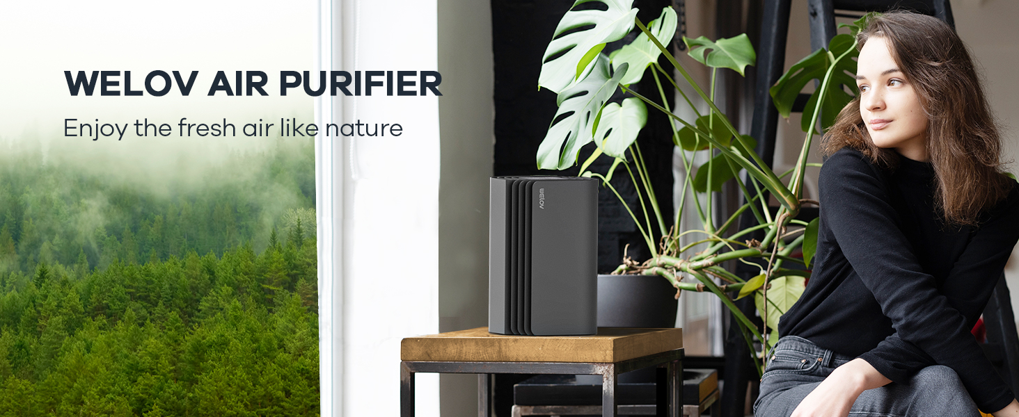 air purifiers for bedroom