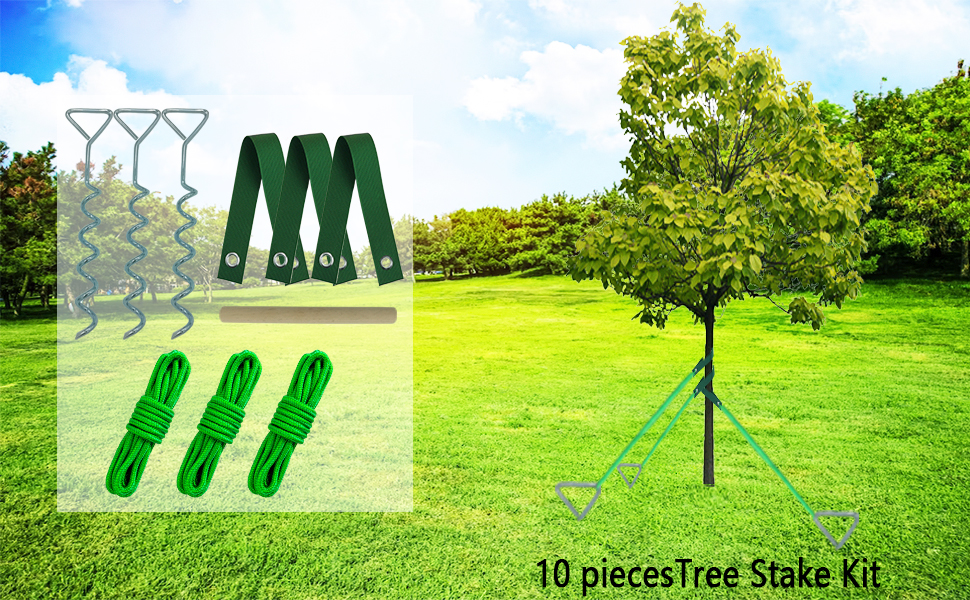 Tree Stakes and Supports for Leaning Trees,15.8" Spiral