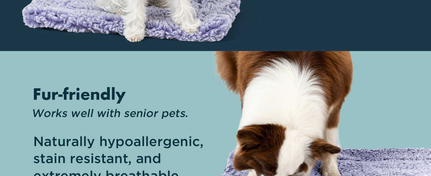 dog kennel beds for crates