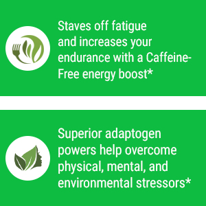 Sayan Siberian Wild Forest Chaga Mushroom Extract Powder and Betulin Birch Bark Extract, 2 Oz (56 g) Antioxidant Tea for Immune 29 Increase energy