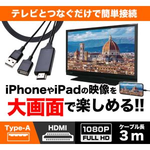 カラクラの筐体にiPadの液晶とHDMIコントローラーを組み込んだもの VESA カラクラの筐体にiPadの液晶とHDMIコントローラーを組み込んだ
