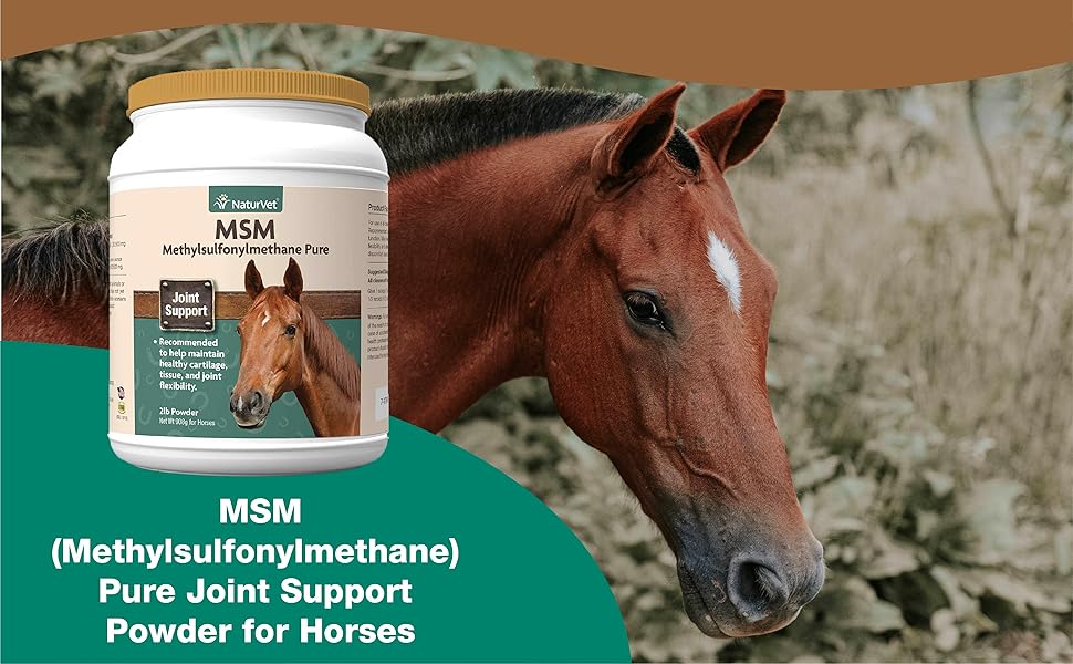 NaturVet MSM Methylsulfonylmethane Pure Joint Support