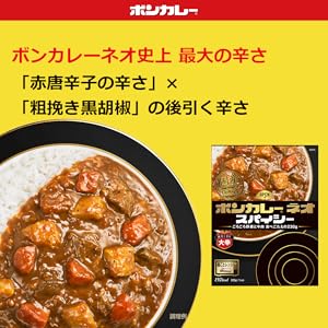 【レアもの】大塚のポンカレー 40周年記念セラミックプレート Amazon.co.jp: ボンカレー 大塚食品元祖ボンカレー 200g ×5個