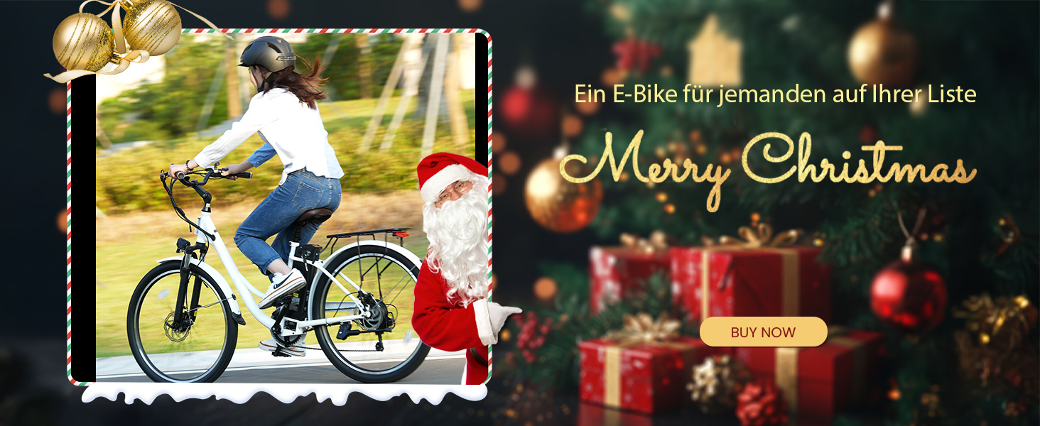 U2 E BIKE
