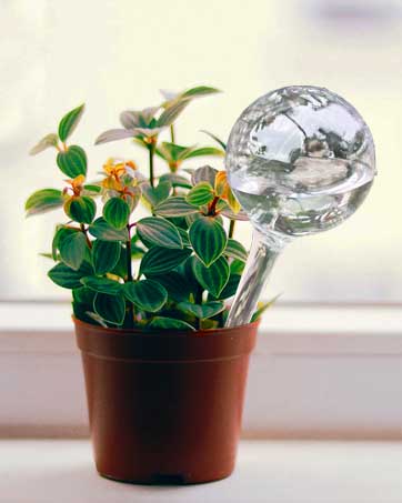 Planter Self Watering Globes for Home Potting