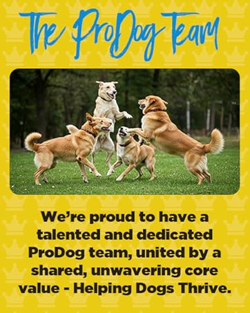 ProDog