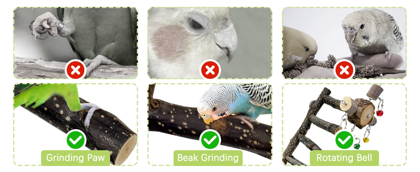 Natural wood, durable chewable, textured surface promoting healthy beak and nail grinding