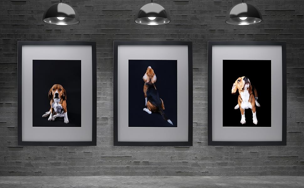 White A2(42x59.4cm) Poster Frame with A3 Mount Set of 3, A3 Photo