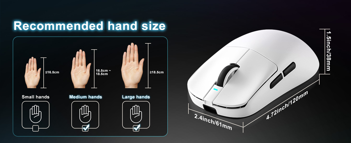 MOUSE