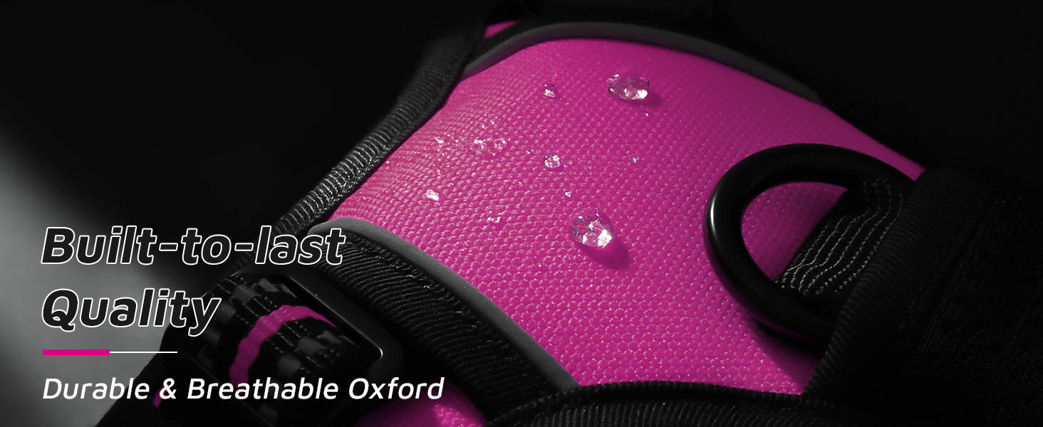 Eagloo Dog Harness No Pull, Walking Pet Harness with 2 Metal Rings and