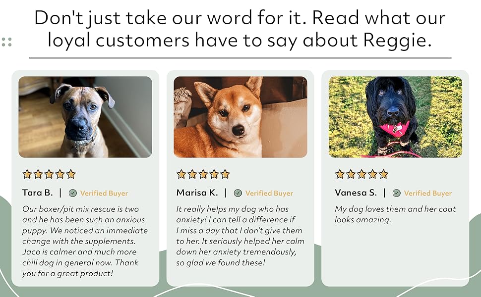 Reggie Pumpkin Probiotic Powder for Dogs Supports