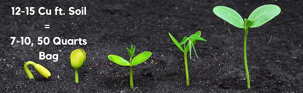 Grow Bag Plant Growth