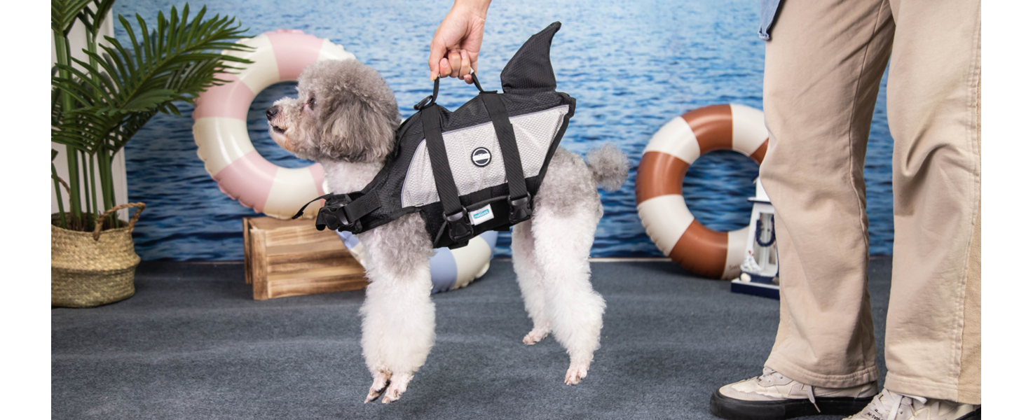 dog lifejackets