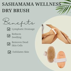 dry brush canva