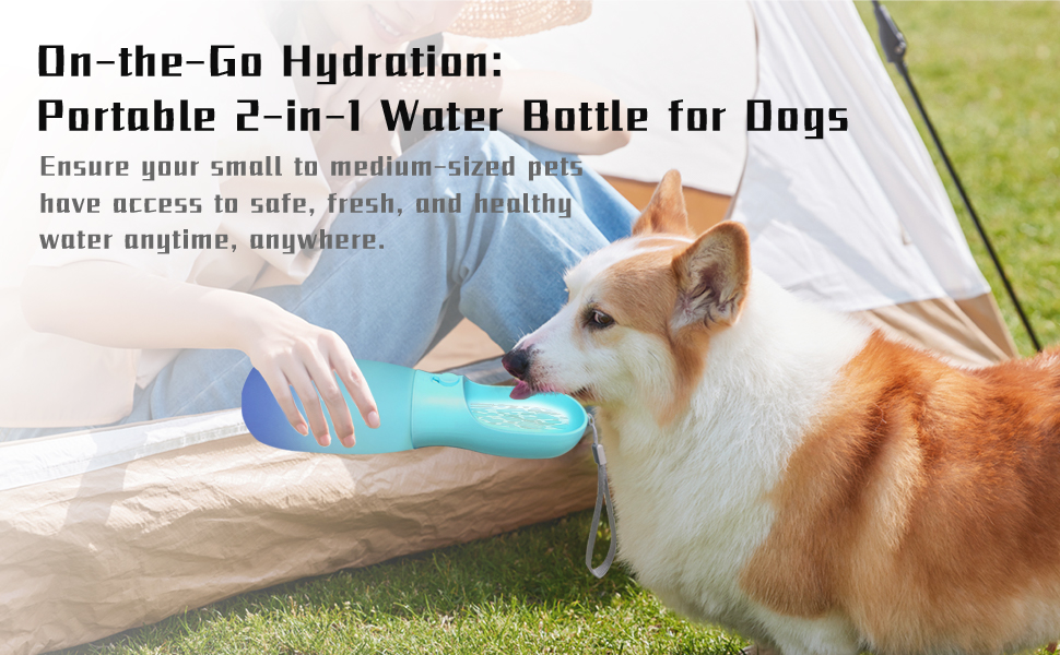 dog water bottle