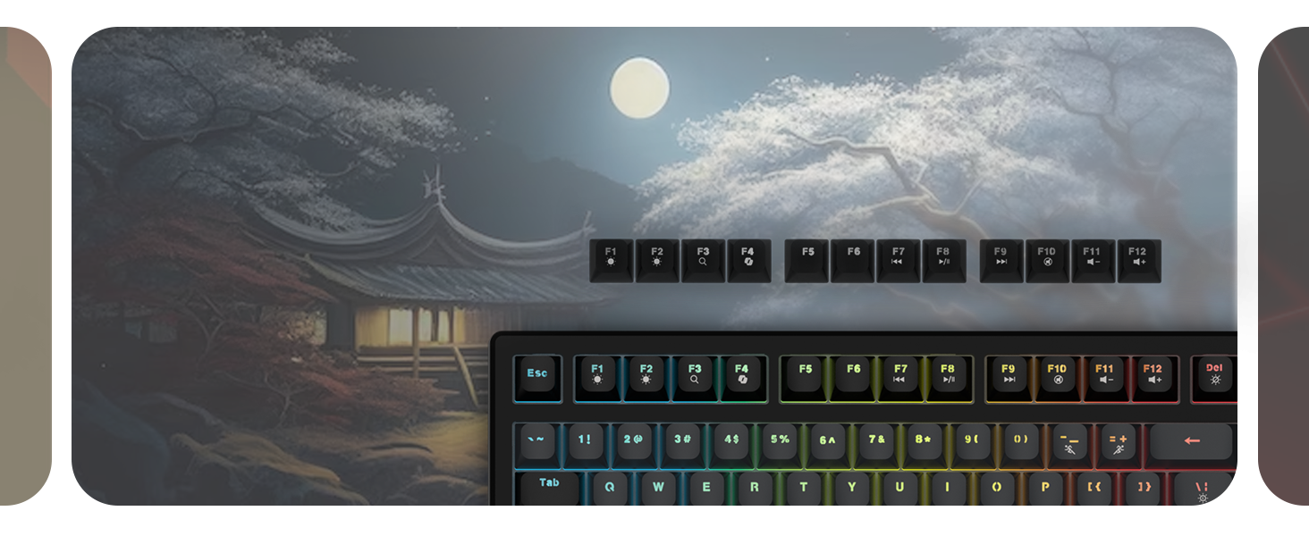 Evofox Ronin TKL Wired Mechanical Keyboard