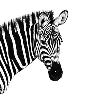 457b927a 939d 48be Ba72 3a7a9f2550d5. CR0,14,494,494 PT0 SX300 V1