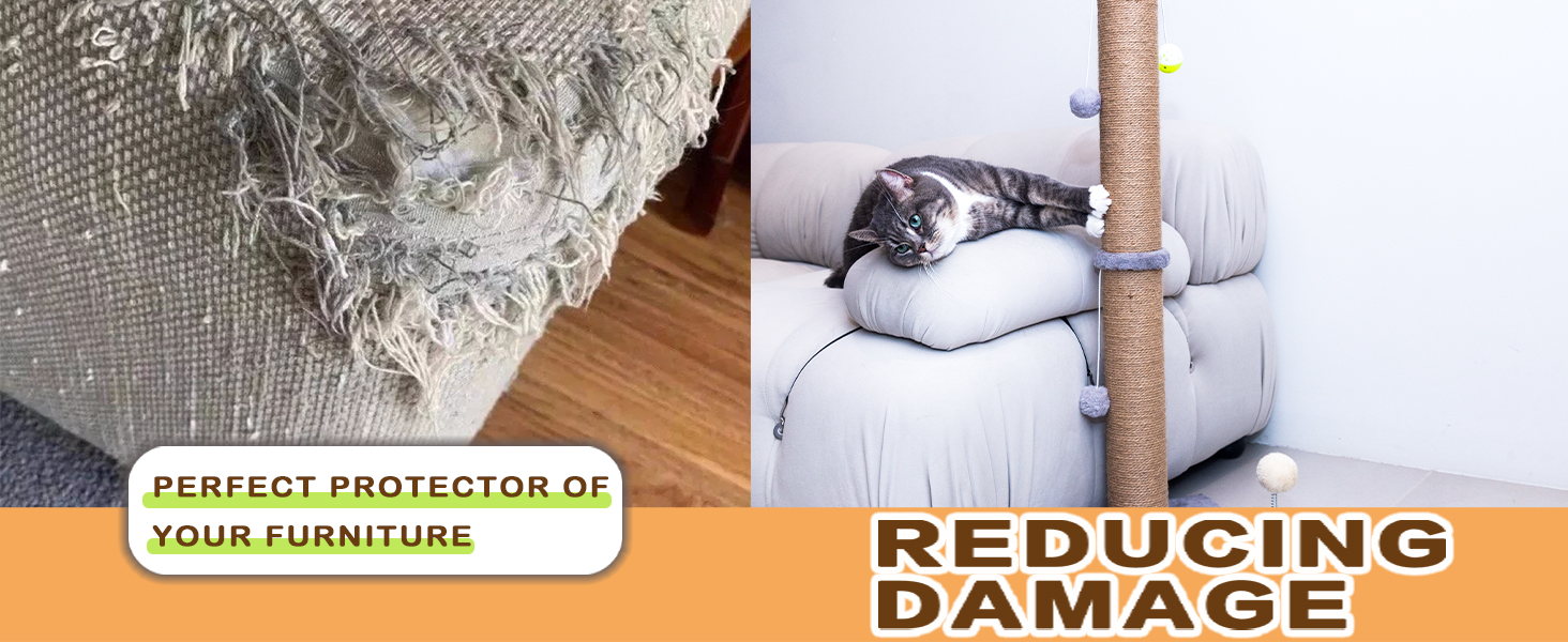 scratching posts for indoor cats adults