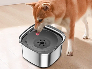 dog water bowl for messy drinkers