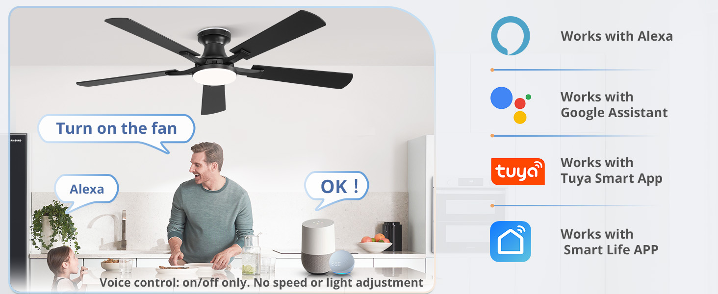 52 Inch Smart Ceiling Fans with RGB Lights