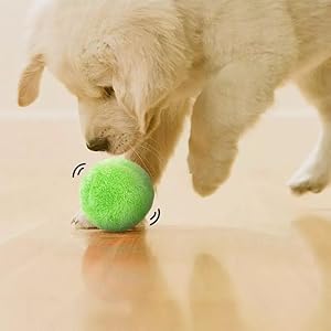 pelota interactiva perros