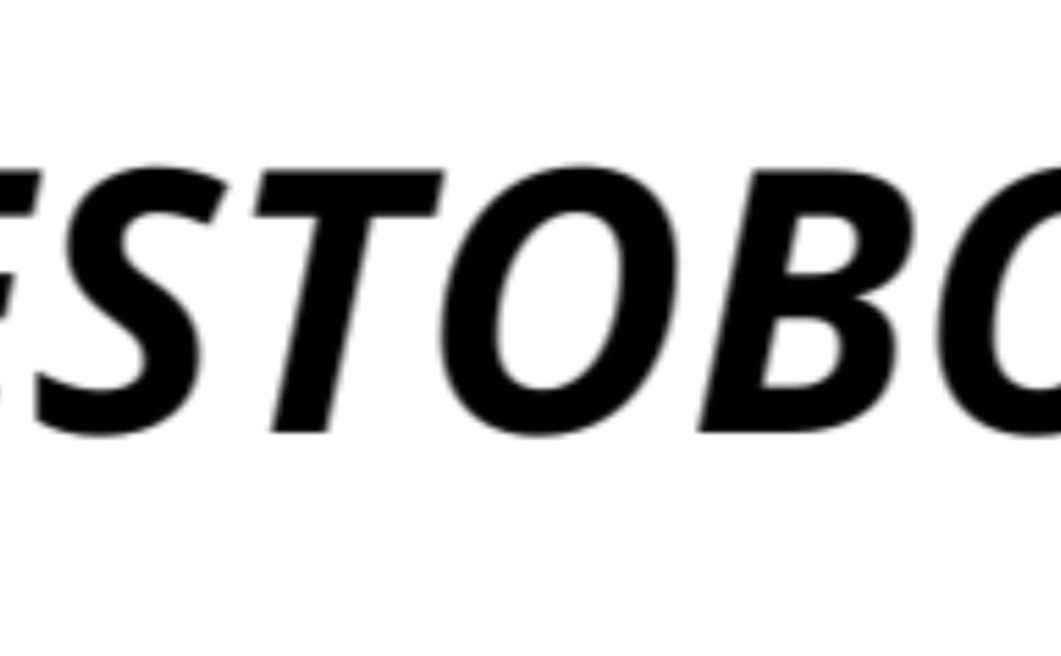 Texto negro en negrita que muestra 'TESTOBOL' sobre fondo blanco